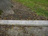 image of grave number 198920